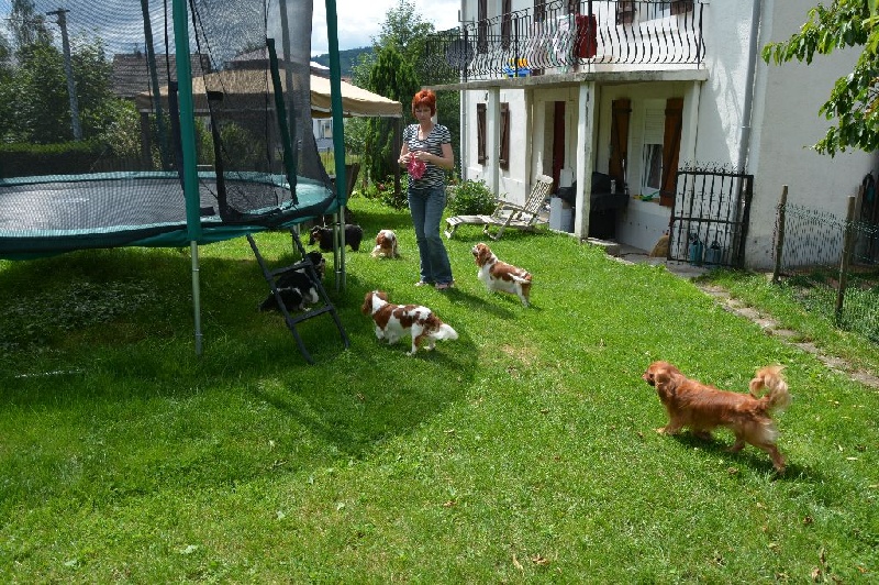 La belle vie